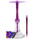 Shisha Chameleon Crazy - Purple